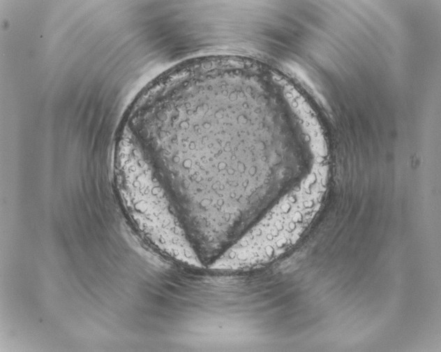 X0000088591276200706151727