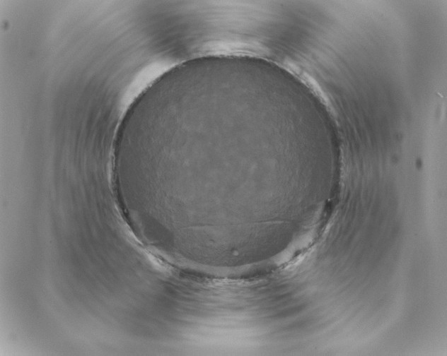 X0000088591277200706151727