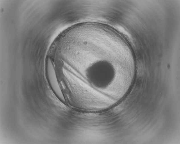 X0000088591280200706151727