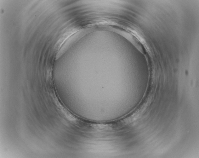 X0000088591281200706151727