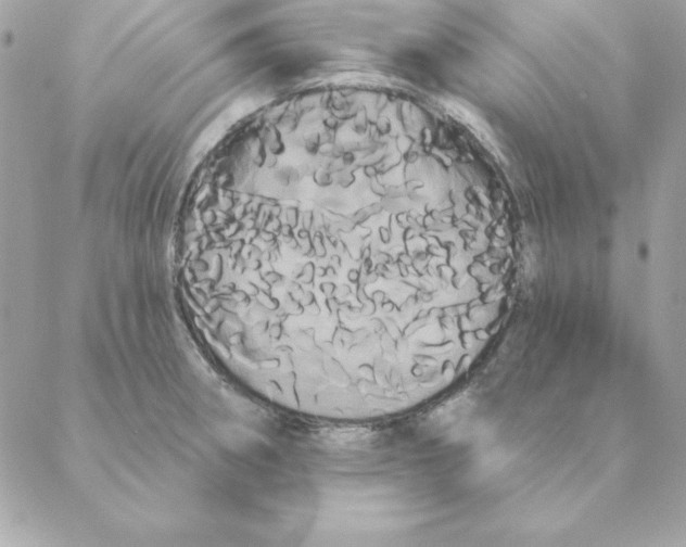 X0000088591282200706151727