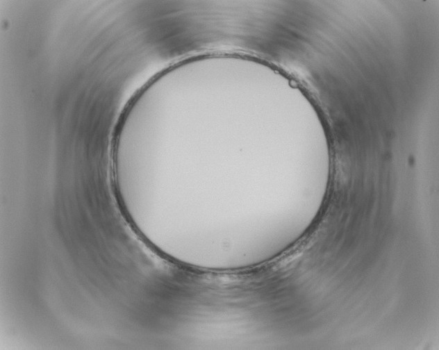 X0000088591286200706151727