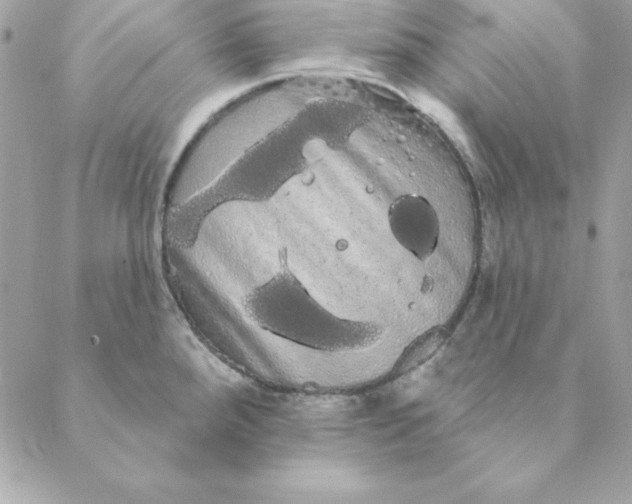 X0000088591288200706151727