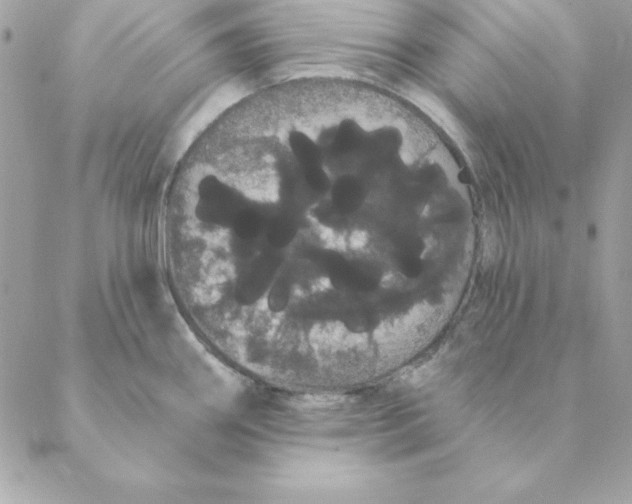 X0000088591290200706151727