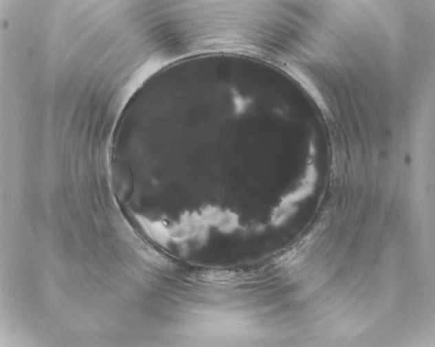 X0000088591291200706151727