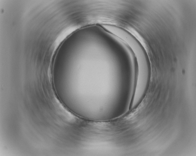 X0000088591293200706151727