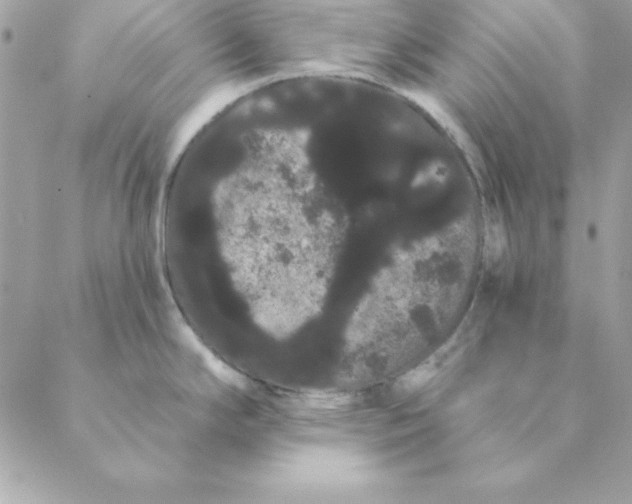 X0000088591294200706151727