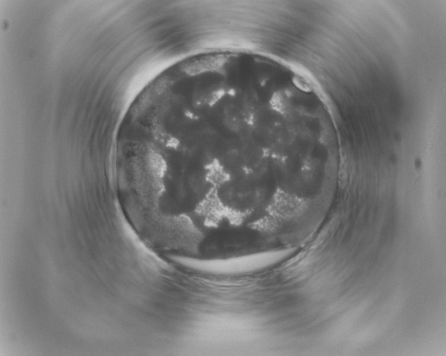 X0000088591295200706151727