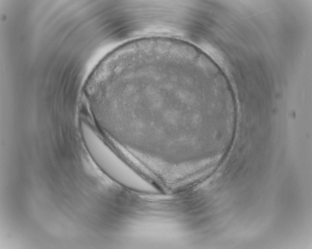 X0000088591296200706151727