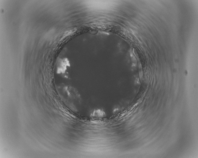 X0000088591297200706151726