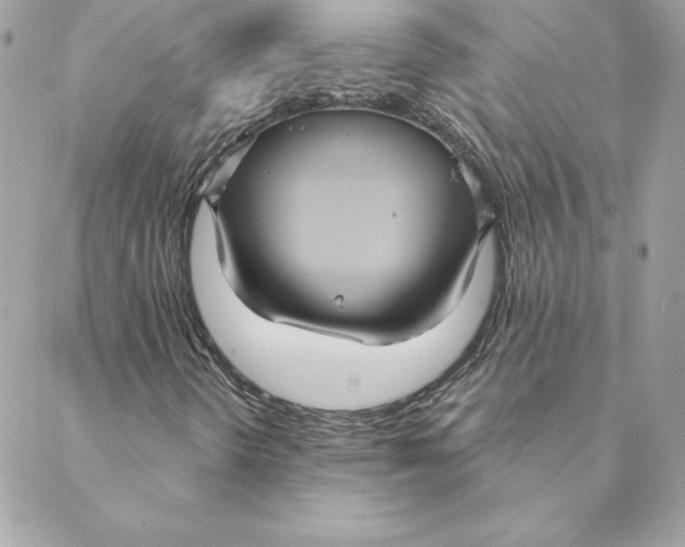 X0000088591298200706151726