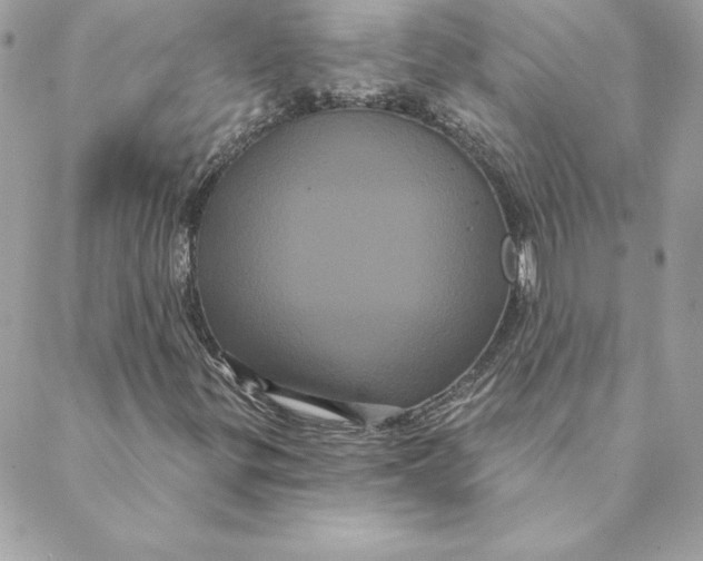 X0000088591299200706151726