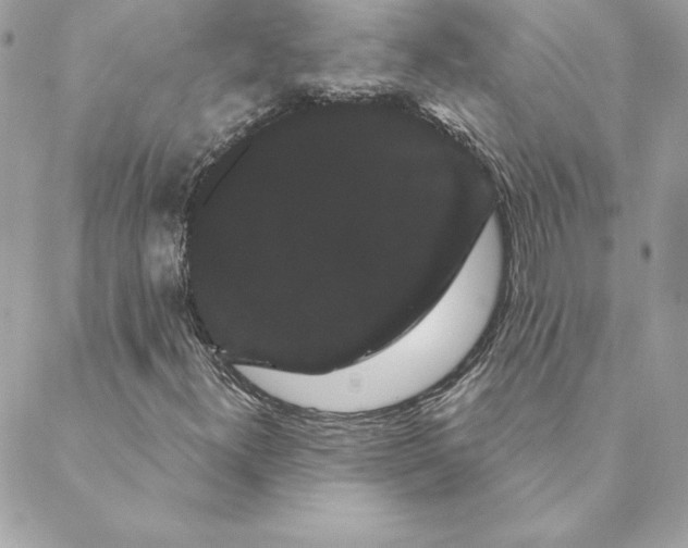 X0000088591300200706151726