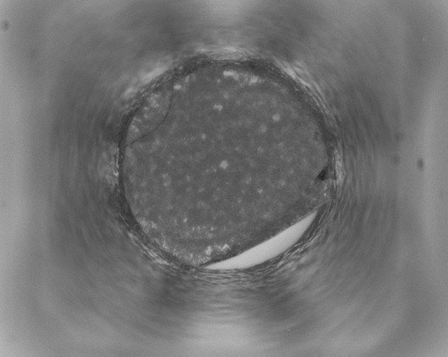 X0000088591301200706151726