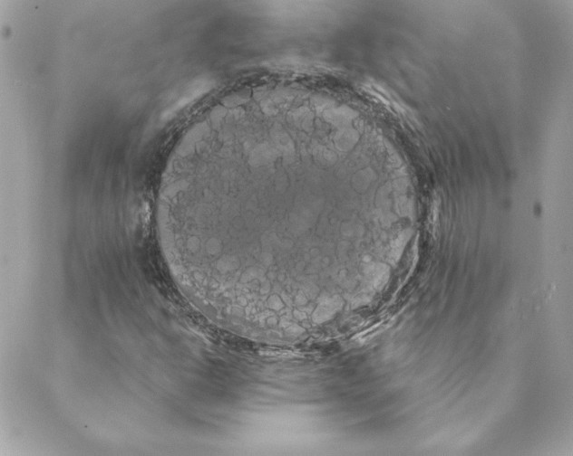 X0000088591302200706151726