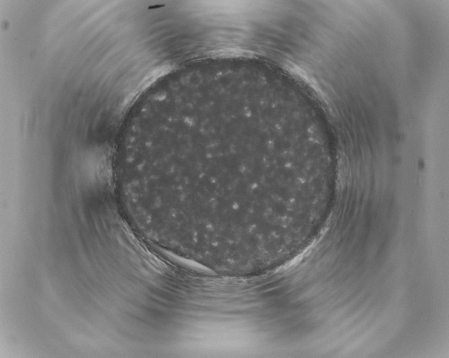 X0000088591305200706151726