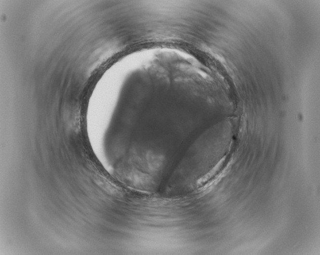 X0000088591306200706151726