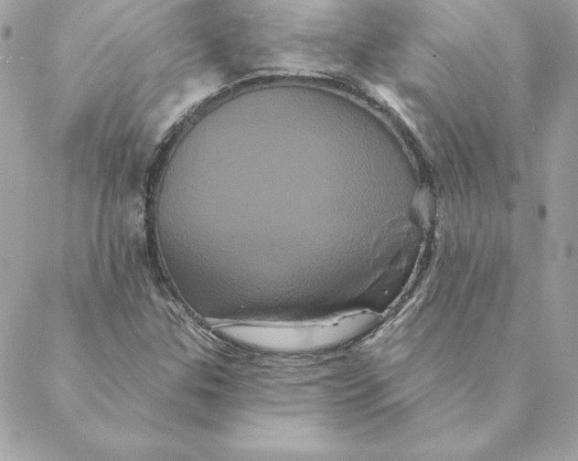 X0000088591307200706151726