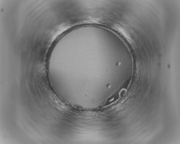 X0000088591308200706151726