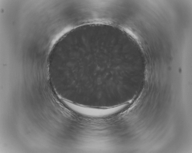 X0000088591310200706151726