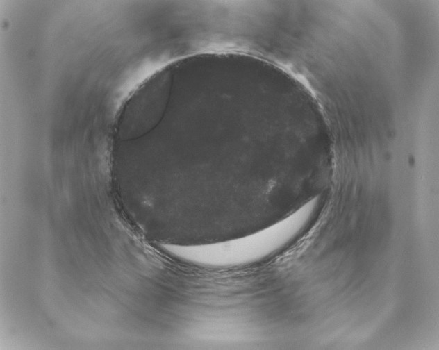 X0000088591311200706151726