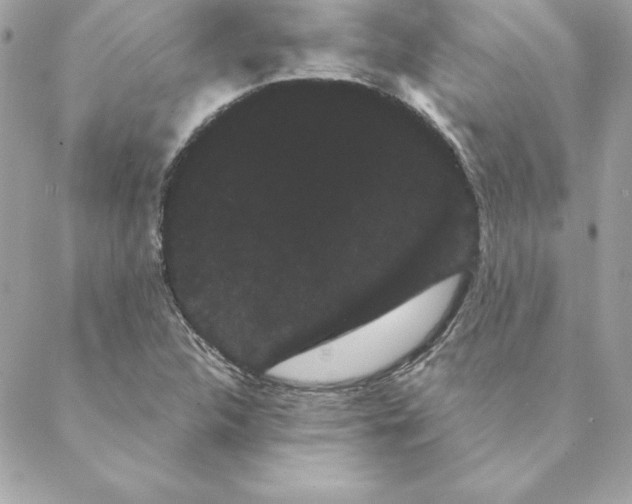 X0000088591312200706151726