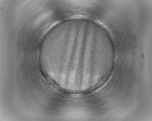 X0000088591313200706151726