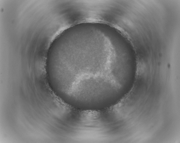 X0000088591314200706151726