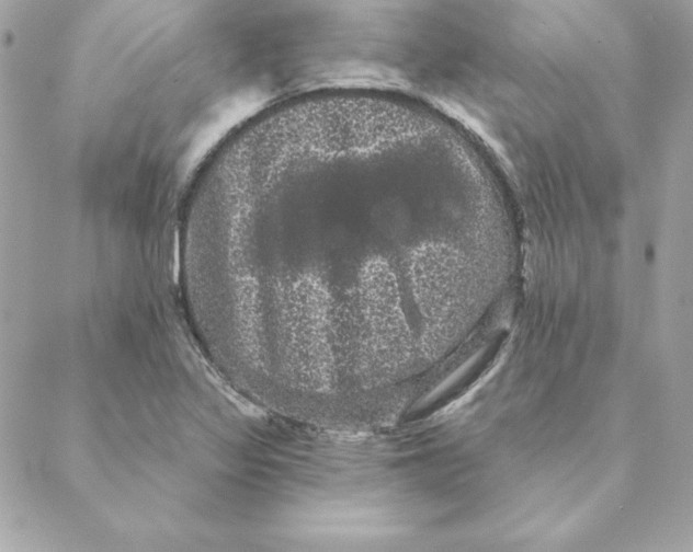 X0000088591317200706151726