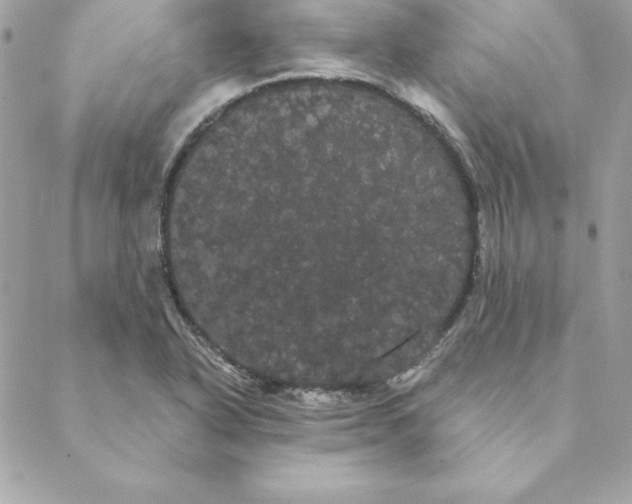 X0000088591318200706151726