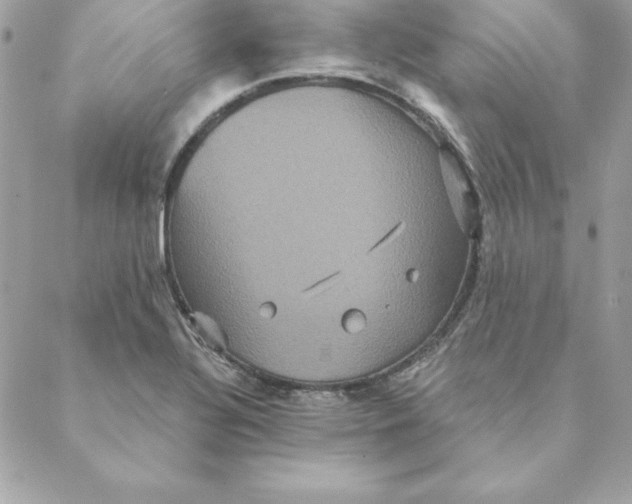 X0000088591320200706151726