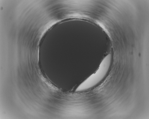 X0000088591323200706151726