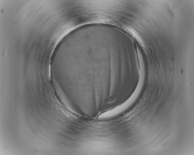 X0000088591324200706151726