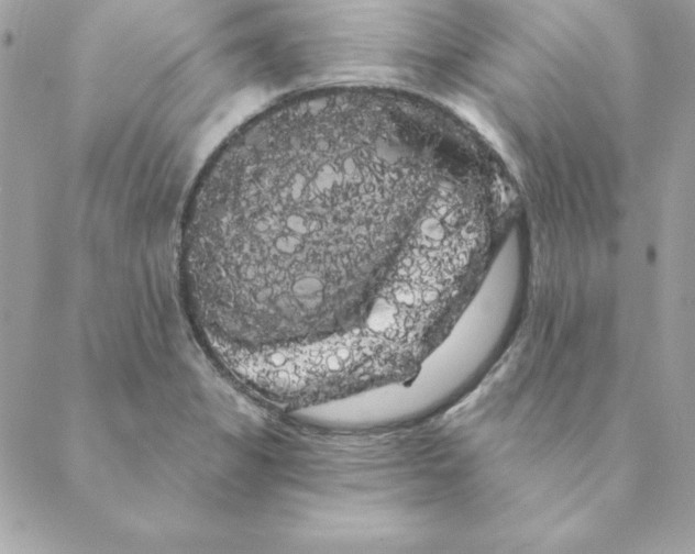 X0000088591325200706151726