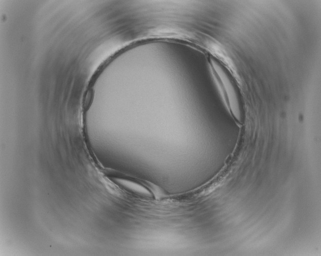 X0000088591328200706151727