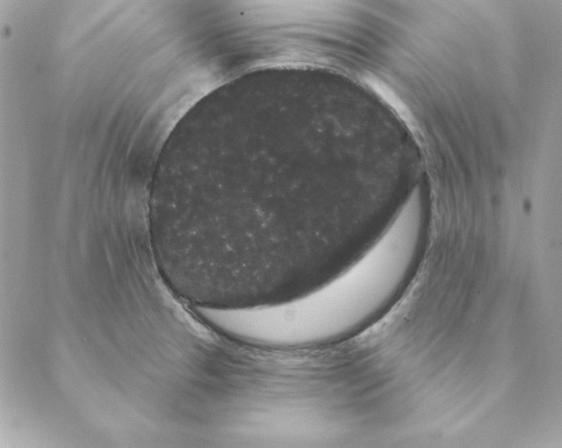 X0000088591329200706151727