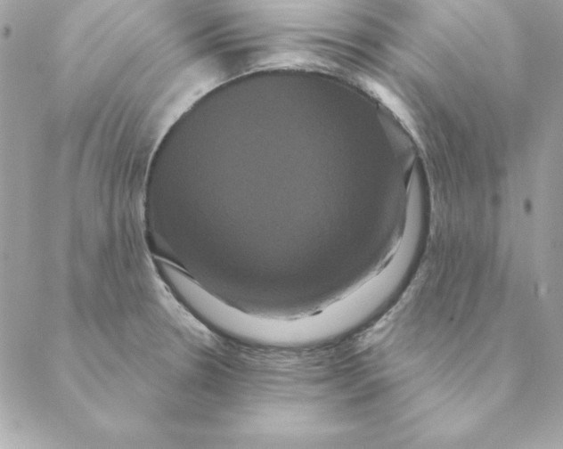 X0000088591330200706151727