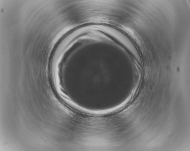 X0000088591331200706151727