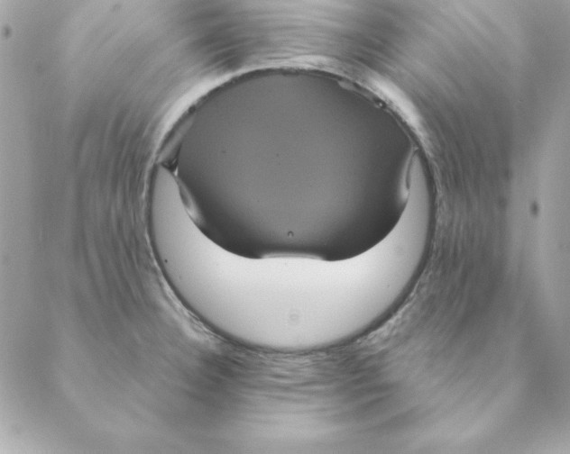 X0000088591332200706151727