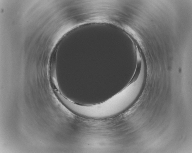 X0000088591334200706151727