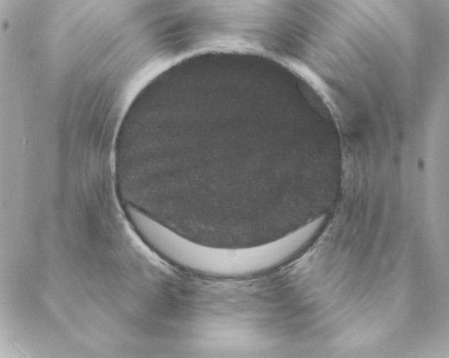 X0000088591335200706151727