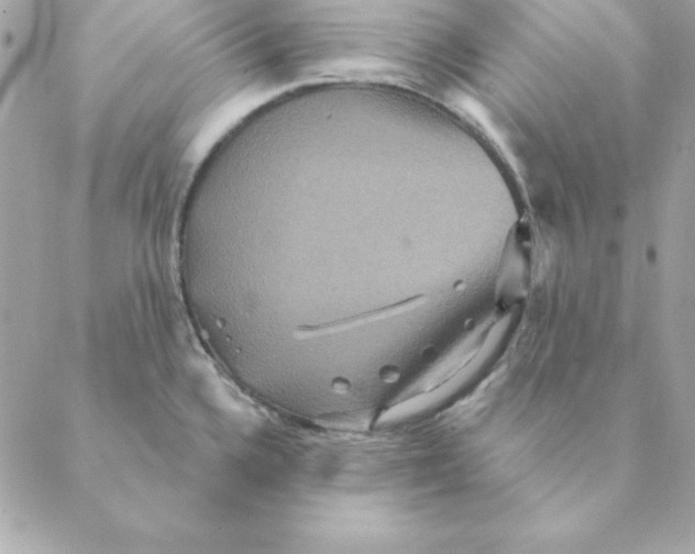 X0000088591336200706151727