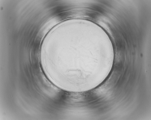 X0000088591338200706151727