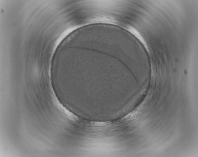 X0000088591339200706151727