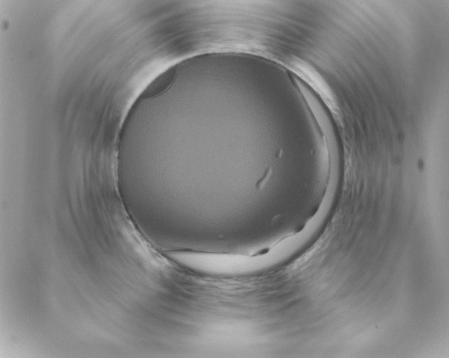 X0000088591340200706151727