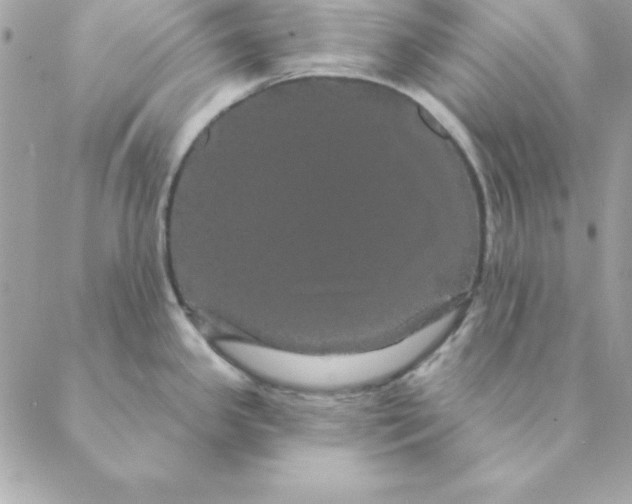 X0000088591341200706151727