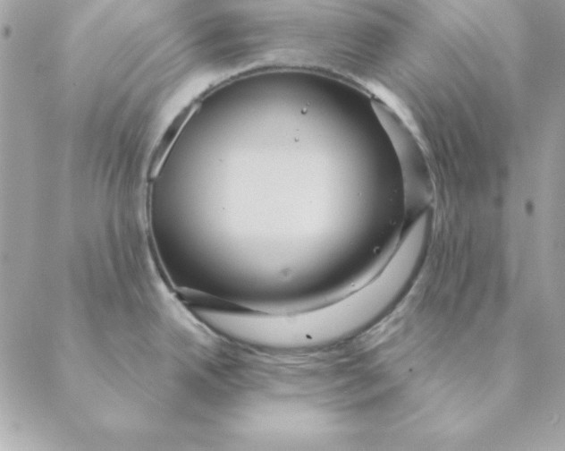 X0000088591342200706151727