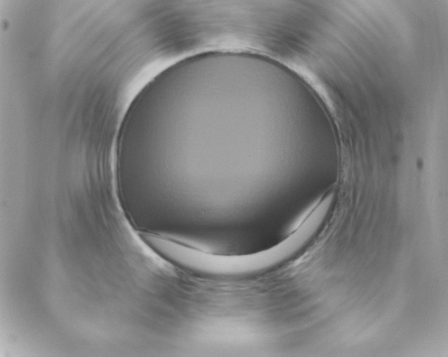 X0000088591343200706151727