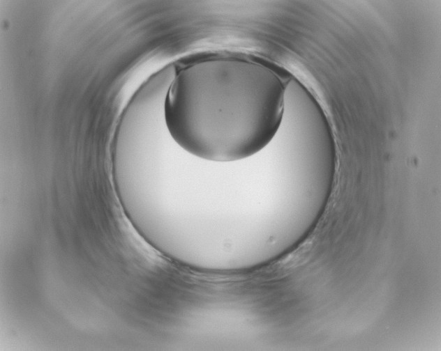 X0000088591344200706151727