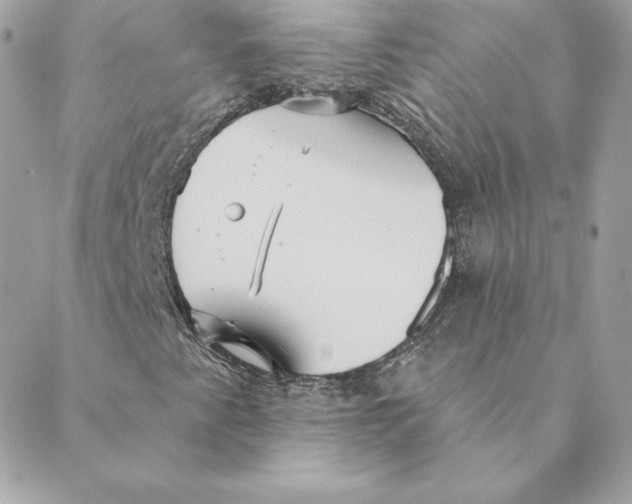 X0000088591345200706151726